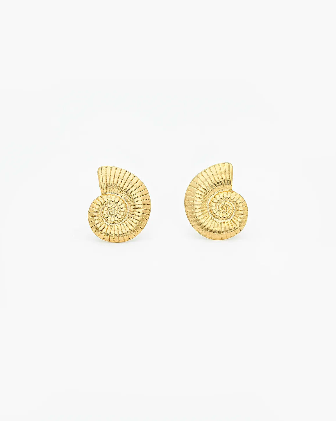 Sea Shell Swirl Earrings