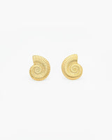 Sea Shell Swirl Earrings