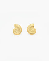 Gold ammonite fossil stud earrings on a white background