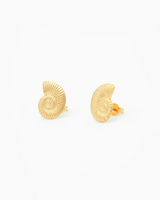 Gold ammonite fossil stud earrings on a white background