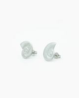 Pair of silver earrings on a white background